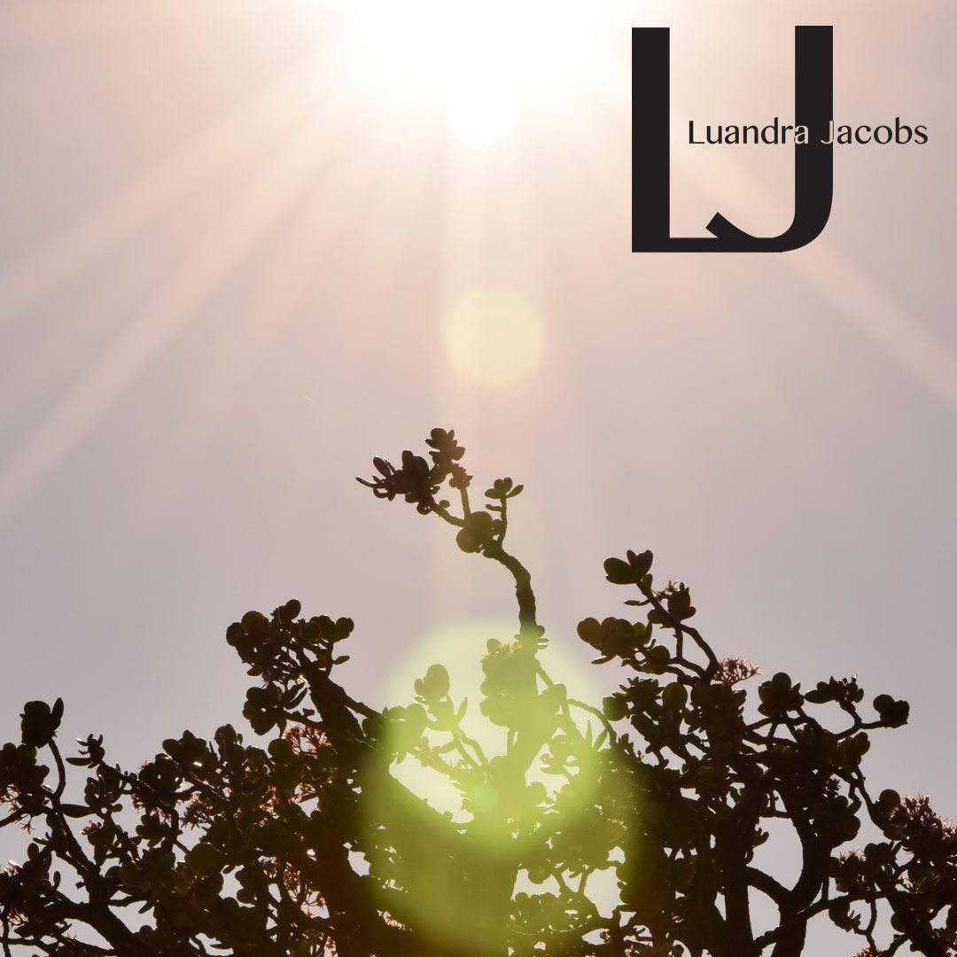 b1e19f34-fb5b-4653-a24f-d5e58441bed2